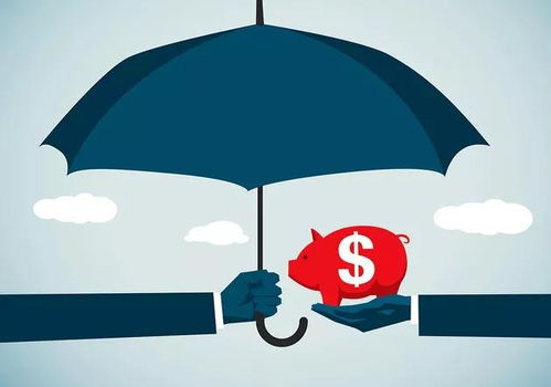 我國工程擔(dān)保制度中的信用功能機(jī)制與信用擔(dān)保——以工保網(wǎng)為例的視角